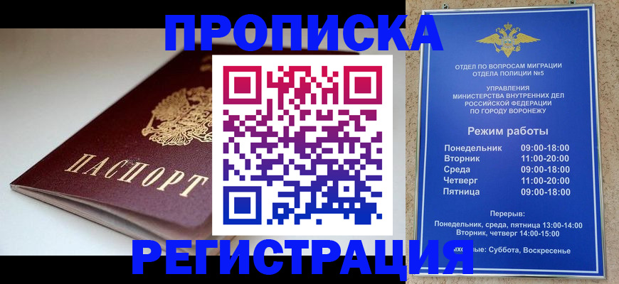 найти адрес прописки в Бабаево